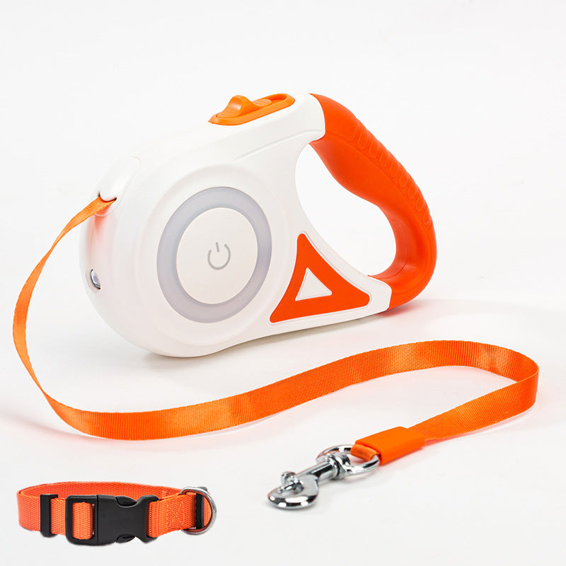 illuminated dog leash