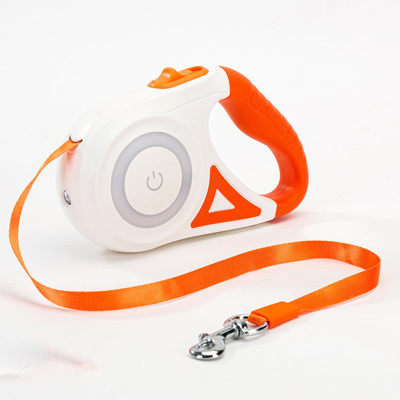 dog leash with flashlight