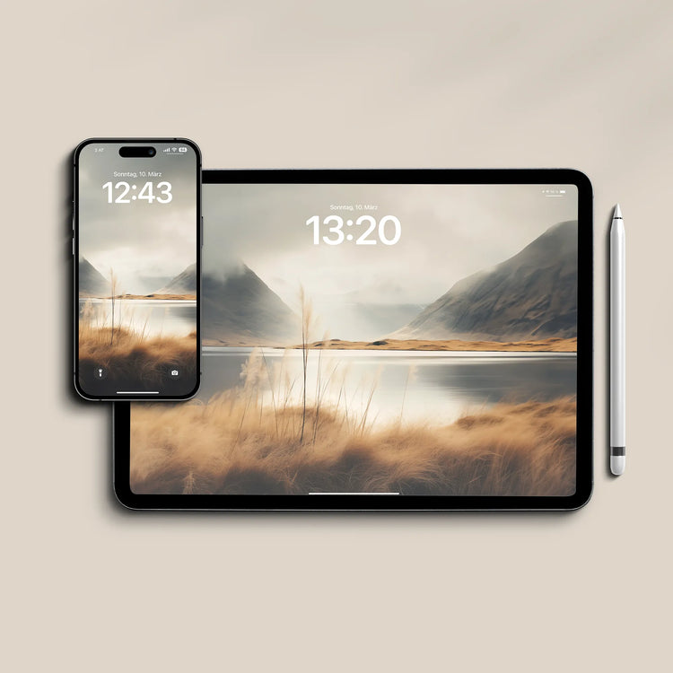 Smartphones & Accessories