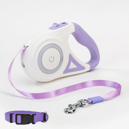 dog walking accessories