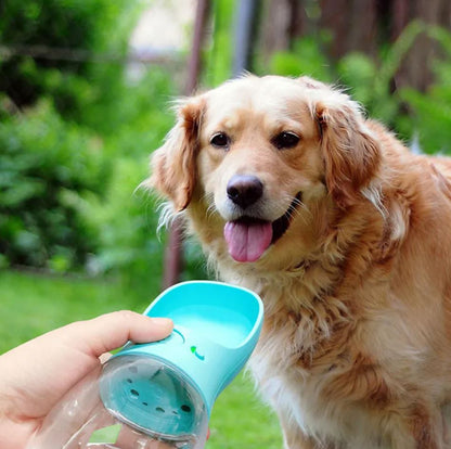 2 in 1 Feeding Bottle