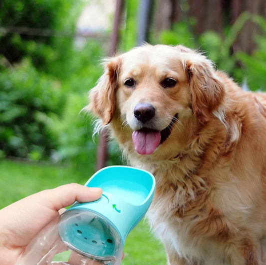2 in 1 Feeding Bottle