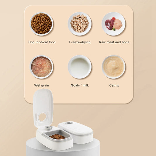 Holds 1 Gallon of Water — Ideal for Cats & Dogs